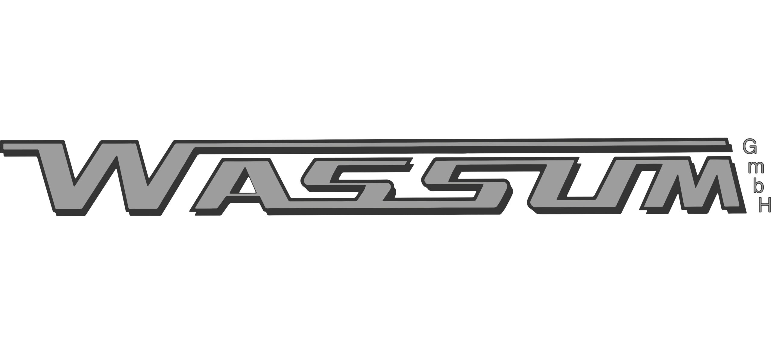Logo Omnibusbetrieb Wassm Logo Omnibusbetrieb Wassm